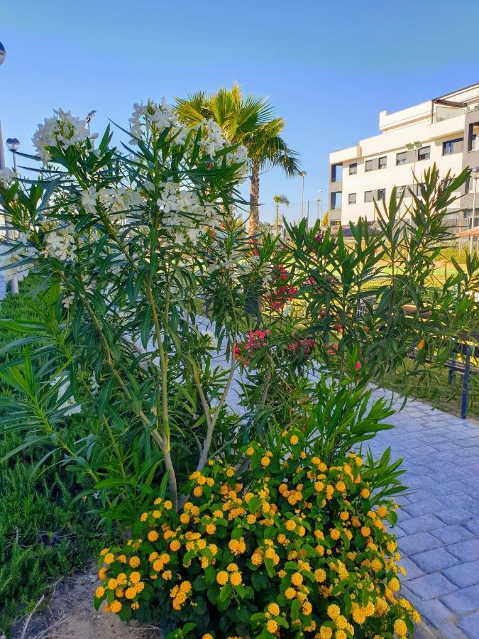 Apartamento Residencial Costa Doñana  Sanlúcar de Barrameda Exterior foto